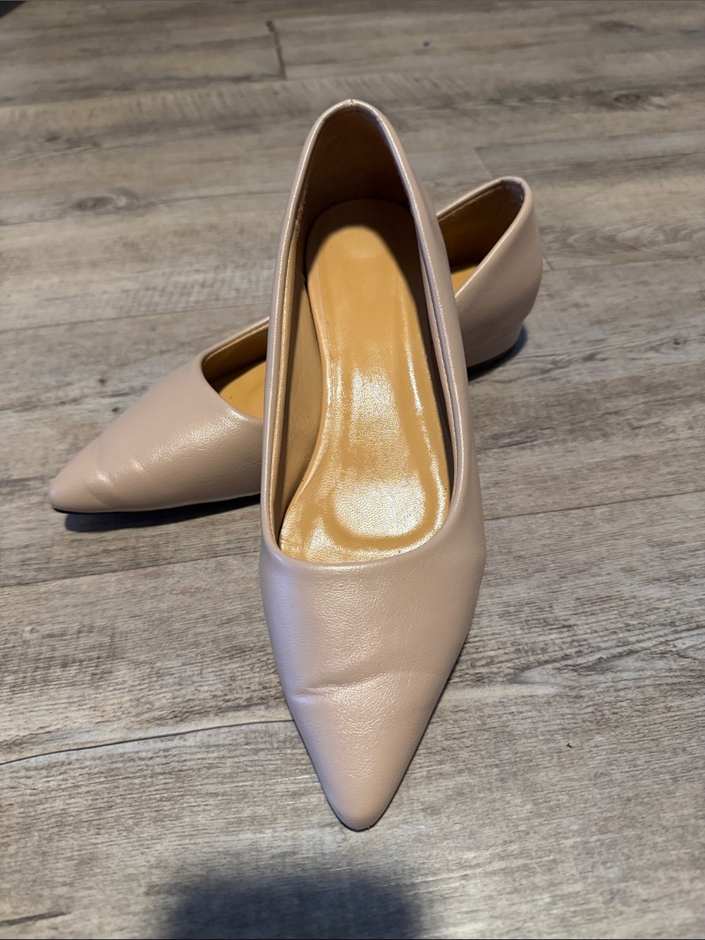Pointed Toe Women's Flats in Light Nude